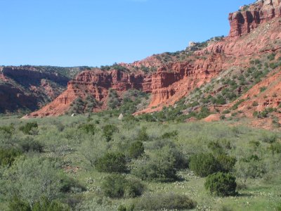scenic view