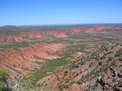 the final view
