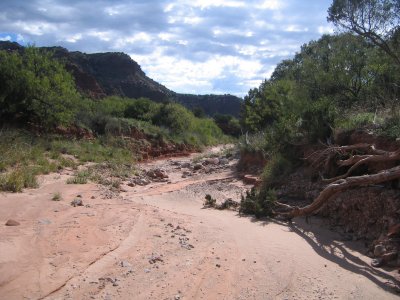 stream bed