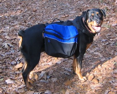 porschea with her backpack