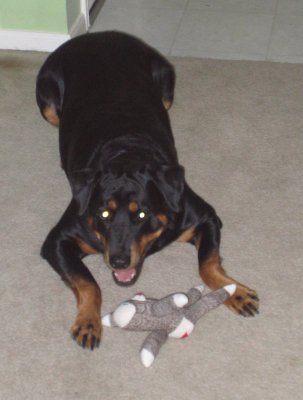 porschea with her monkey again!