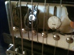 shiny shiny
