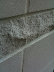 wall wall