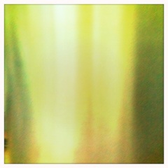 something shiny
