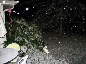 snow?
